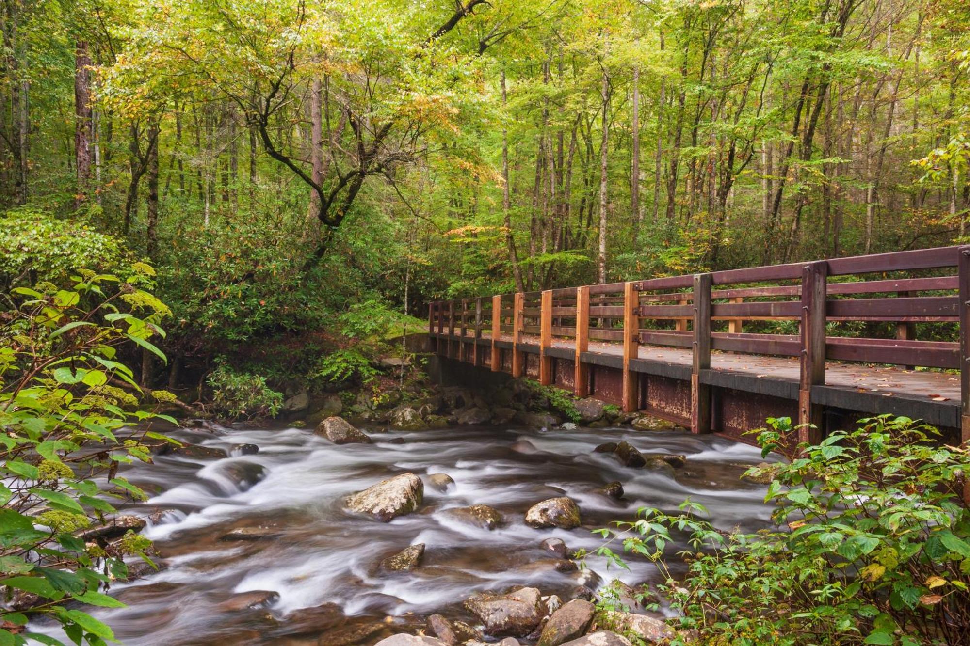 Mountain Lake Lodge, Hot Tub, Theater Room, 1089 Free Tickets Each Paid Day, Dollywood And More セバービル エクステリア 写真